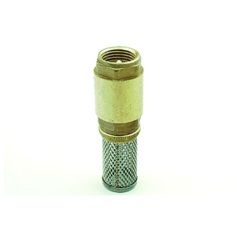 Crépine Anti-retour Laiton + Inox Filetage 1''.