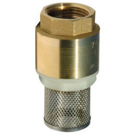 CREPINE CLAPET LAITON 1''1/4 AVEC CREPINE INOX PACKAGE RENSON
