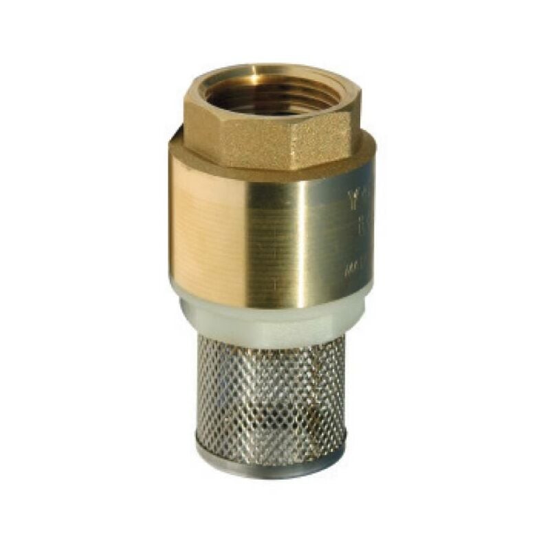 Renson - crepine clapet laiton 1''1/4 avec crepine inox package