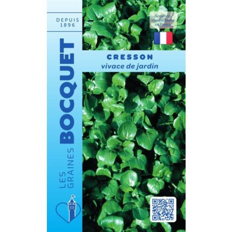 Cresson vivace de jardin - 5g