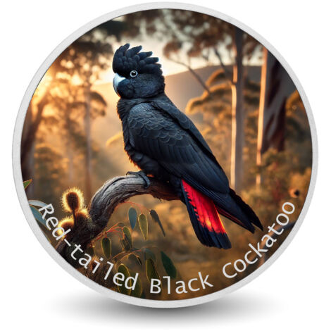 Crimson Majesty: Il cacatua nero dalla coda rossa 1 oz argento colorato