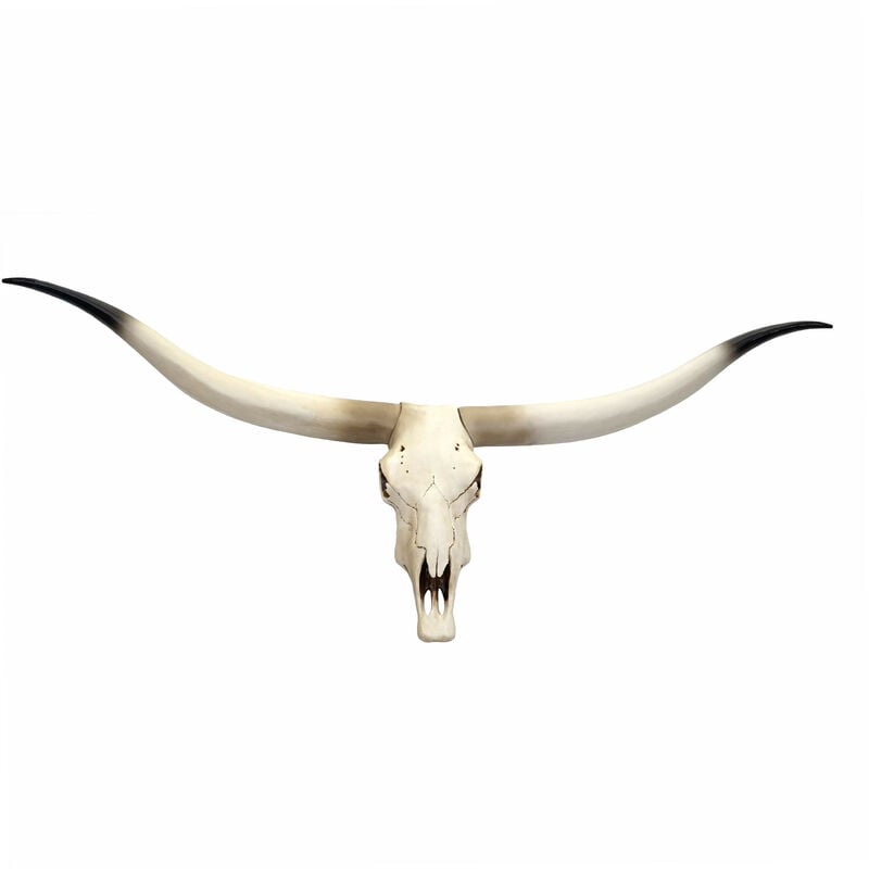 Crâne de décoration vache HWC-D32, polyresin, trophée de taureau avec cornes, 103x43x11cm