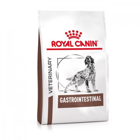 Crocchette Cane Gastrointestinal 2Kg Royal Canin