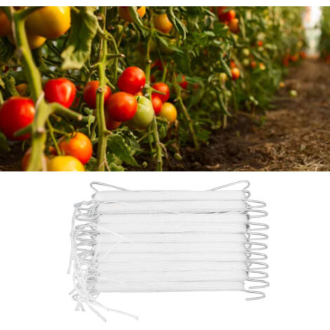 Crochet de Soutien pour Plantes J  10 Pièces  Galvanisé  Câble Nylon 10m  Tomatoes Cucumber Pea