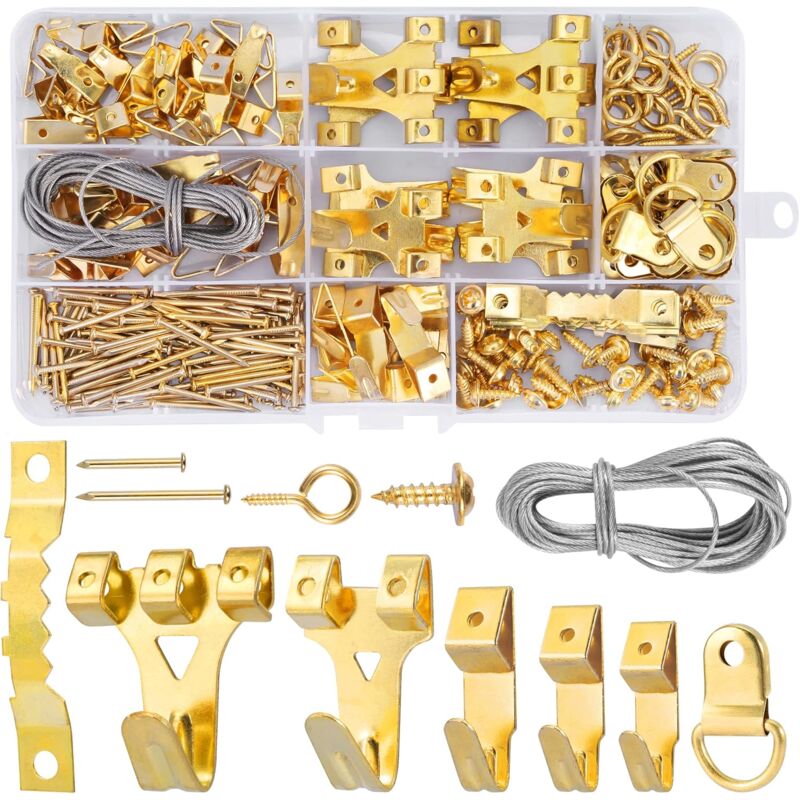 Crochet pour Cadre Photo, 250 Pièces Kit de Suspension de Tableaux, avec Vis, Clous, Anneau en D et œil à Vis, cintres en Dent de Scie, câble