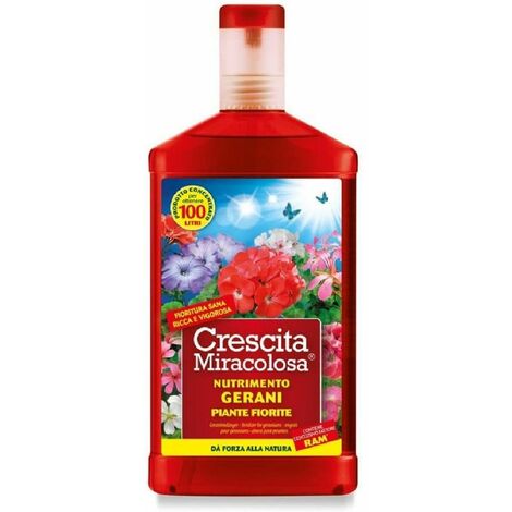 Croissance miraculeuse des géraniums avec le produit de 750 ml