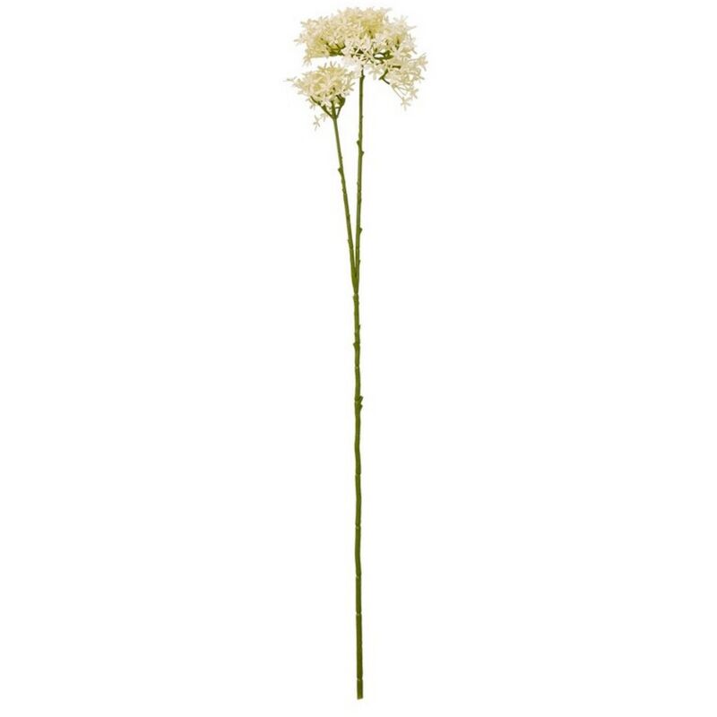Crown Hydrangea (Single Stem Flower) - Plastic - L15 x W18 x H71 cm - Cream