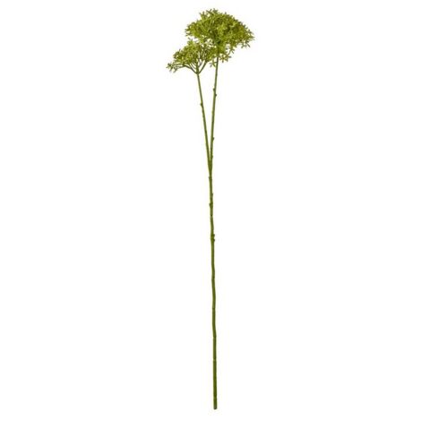 Crown Hydrangea (Single Stem Flower) - Plastic - L15 x W18 x H71 cm - Green