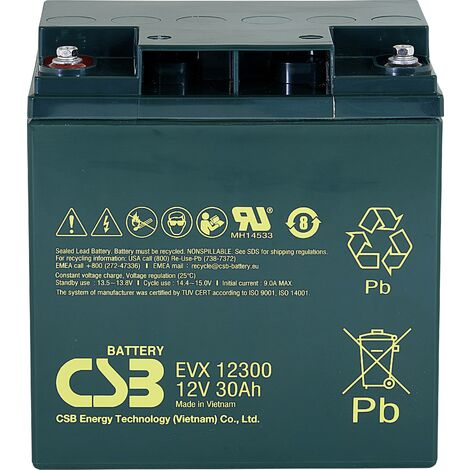 CSB Battery EVX 12300 EVX12300 Batterie au plomb 12 V 30 Ah plomb (AGM) (l x H x P) 166 x 175 x 125 mm raccord à vis M5 résistant aux cycles de char X843281
