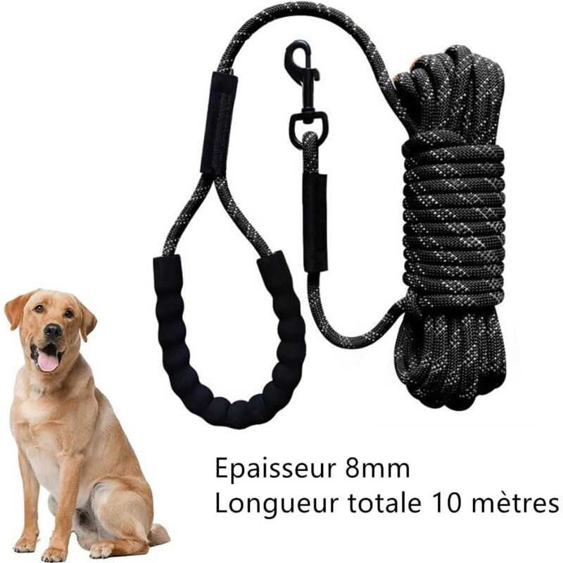 Csparkv - Longe pour Chien 10m, Laisse de Dressage avec Poignée Confortable pour Les Activités de Plein Air, Laisse réfléchissante et Robuste,