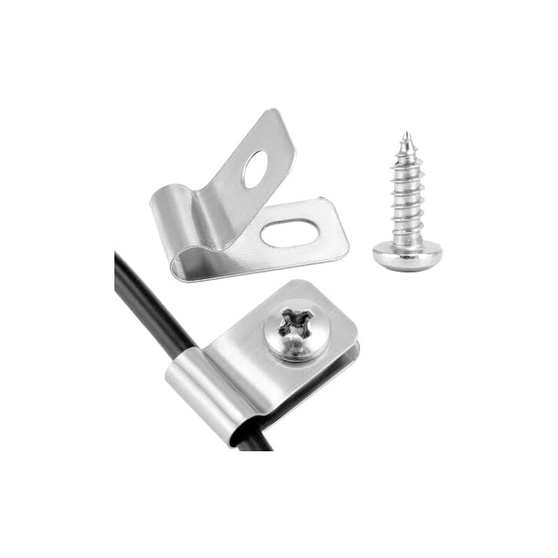 Csparkv - Lot de 100 Clips de Fixation en Acier Inoxydable 304 pour Clôtures Agricoles - Résistant à la Rouille avec Vis Incluses