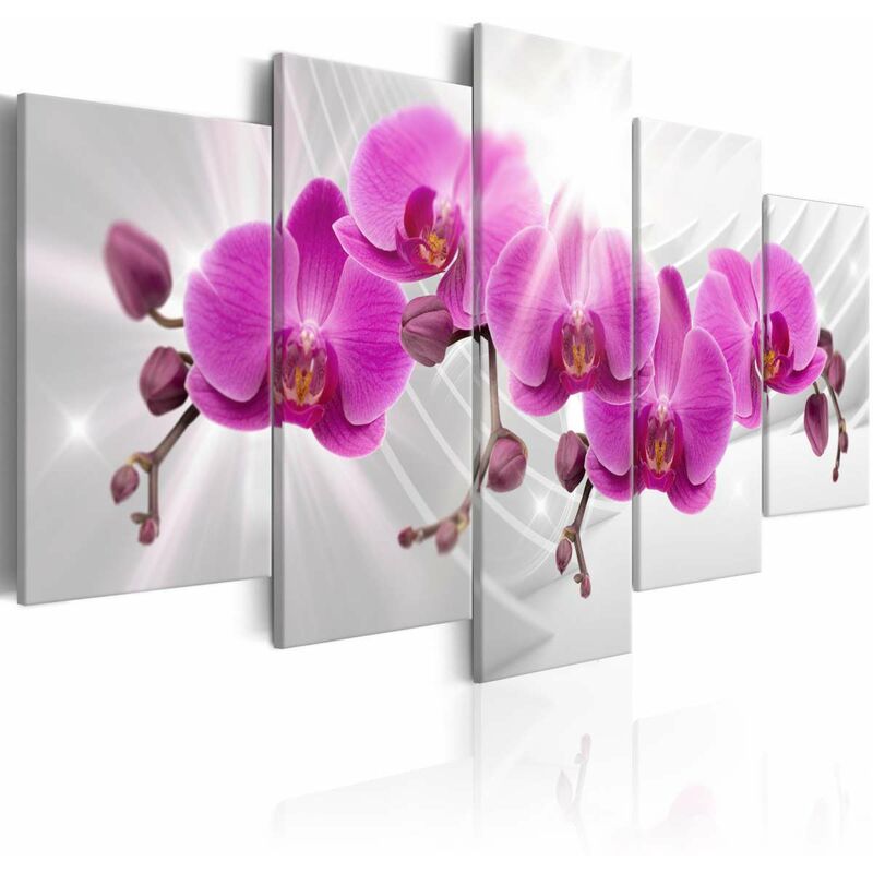 

Cuadro - Abstract Garden: Pink Orchids Medidas 200X100