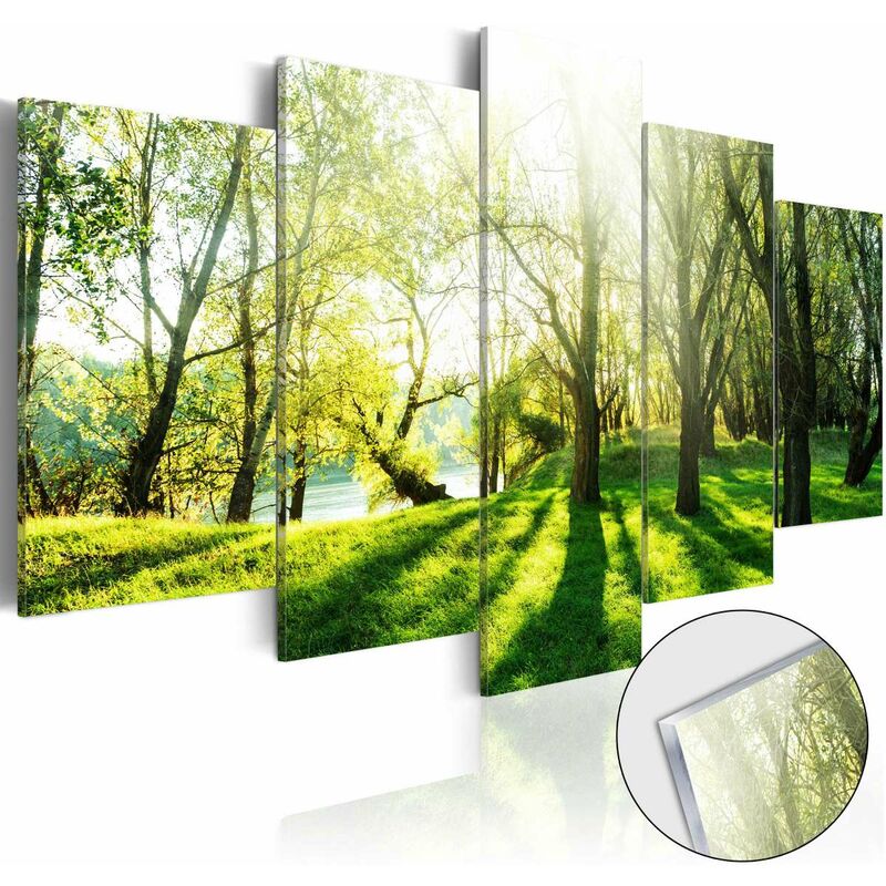 

Cuadro acrílico - Green Glade [Glass] Medidas 200X100