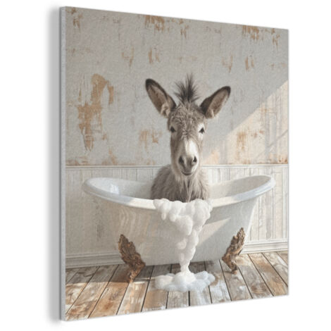 CUADRO ACÚSTICO Burro - Animales - Bañera - Espuma Cuadros Decoracion Salon Modernos 90x90
