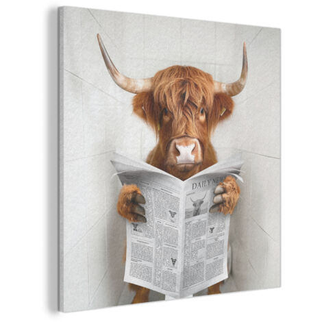 CUADRO ACÚSTICO Highlander escocés - Animal - Periódico - Inodoro Cuadros Decoracion Salon Modernos 90x90