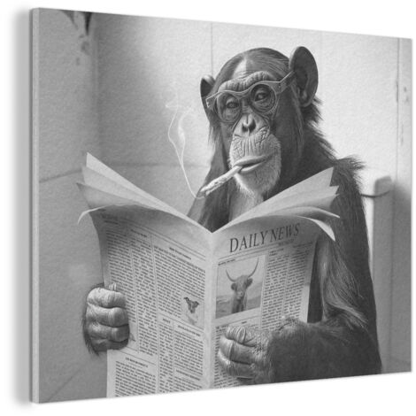 CUADRO ACÚSTICO Mono - WC - Periódico - Blanco y negro - Humor Adornos Pared 80x60