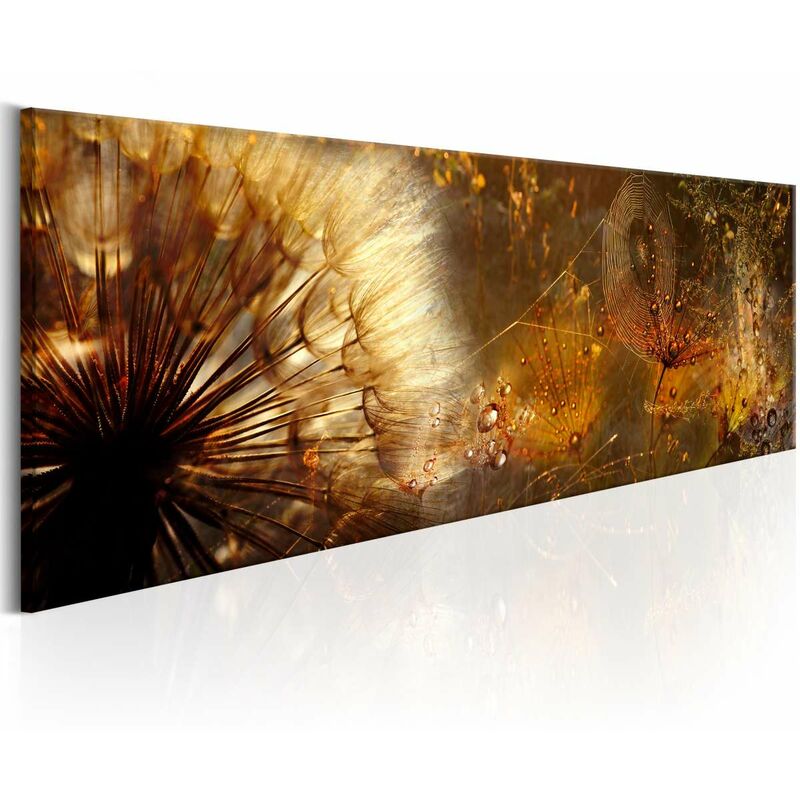 

Cuadro - Amber Morning Medidas 120X40