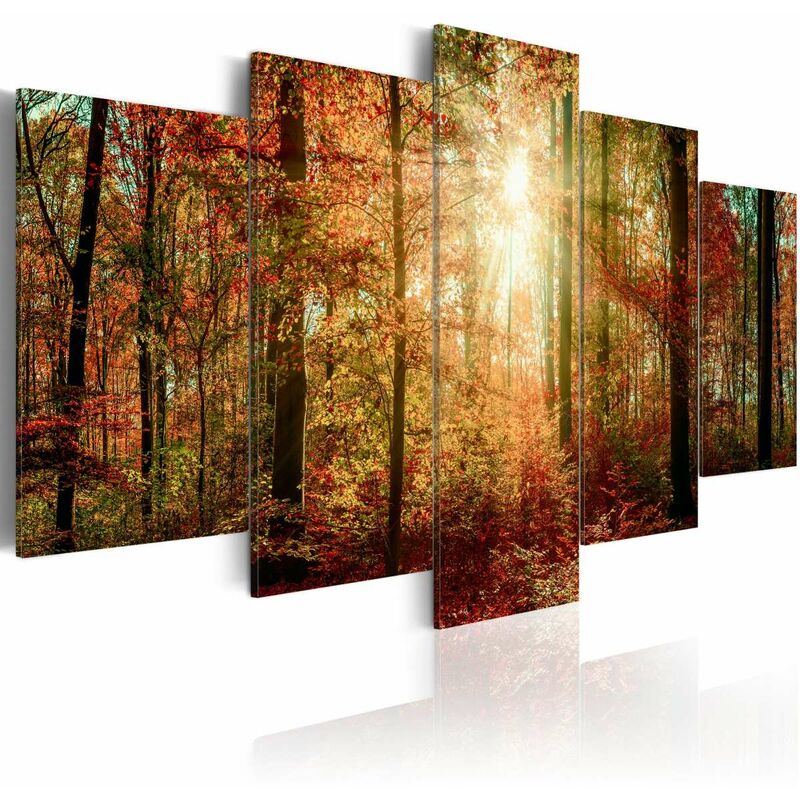 

Cuadro - Autumn Wilderness Medidas 100X50