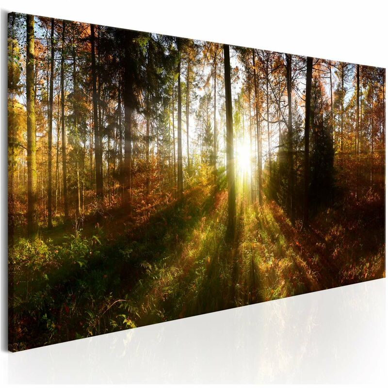 

Cuadro - Beautiful Forest Medidas 120X40