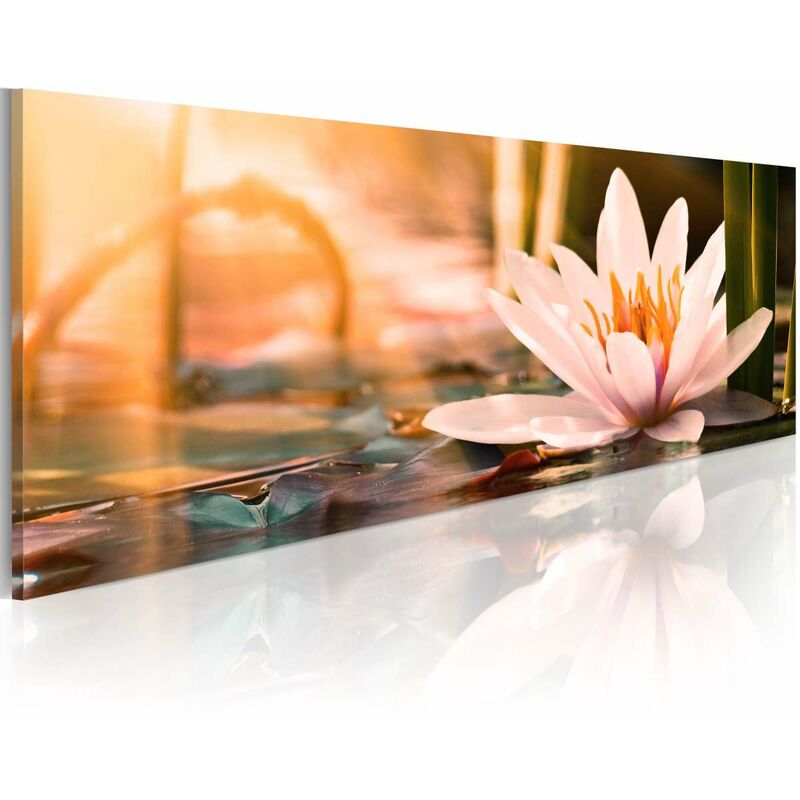 

Cuadro - Beautiful Lotus Medidas 150X50