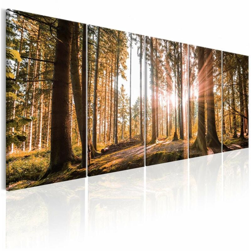 

Cuadro - Beauty of Nature Medidas 225X90
