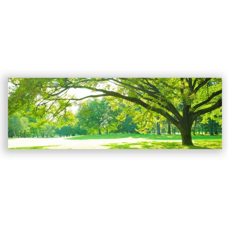 

Cuadro cabecero de árbol fotoimpreso sobre lienzo verde de 150x50 cm