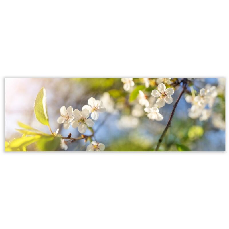 

Cuadro cabecero de flores fotoimpreso sobre lienzo blanco yverde de 180x60 cm
