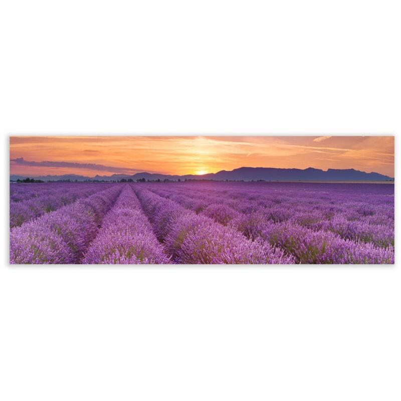 

Cuadro cabecero de lavanda fotoimpreso sobre lienzo lila de180x60 cm