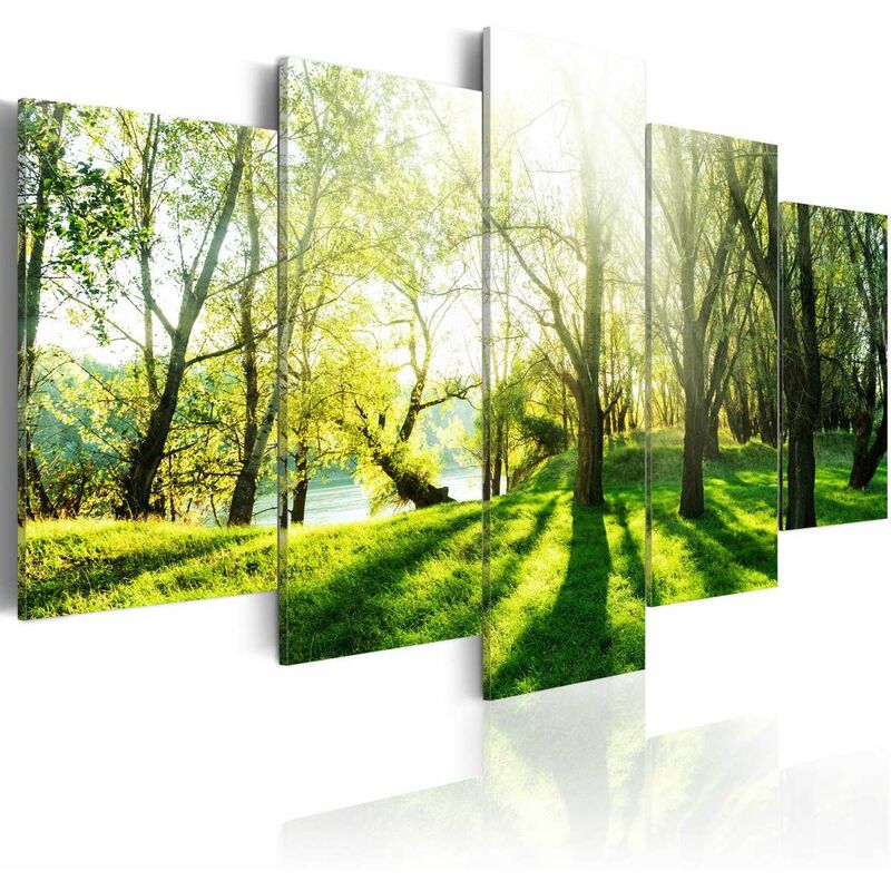 

Cuadro - Calvero verde Medidas 200X100