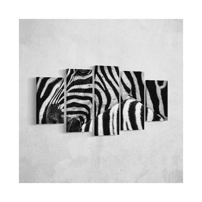 

Homemania - Cuadro Cebra - 5 Piezas - Animales - por sala, habitacion - Multicolor en Poliester, madera, 100 x 3 x 60 cm