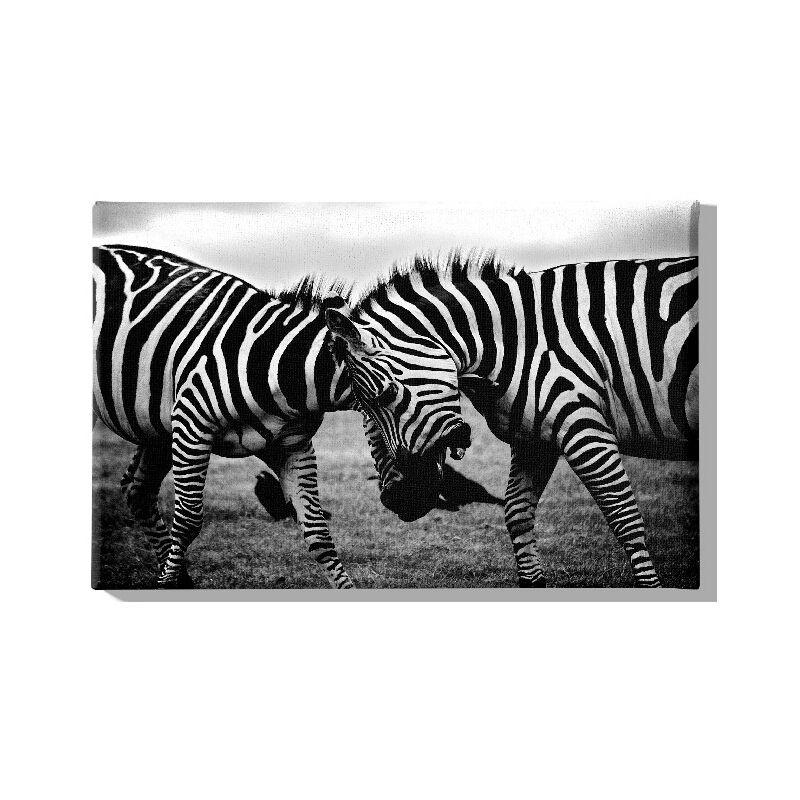 

Homemania - Cuadro Cebra - Animales - para la sala de estar, la habitacion - Multicolor en Poliester, madera, 45 x 3 x 70 cm