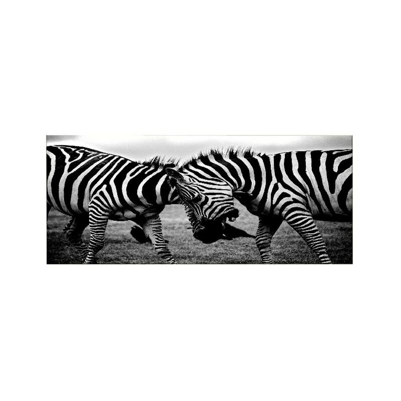 

Homemania - Cuadro Cebra - Animales - para la sala de estar, la habitacion - Multicolor en Poliester, madera, 70 x 3 x 100 cm