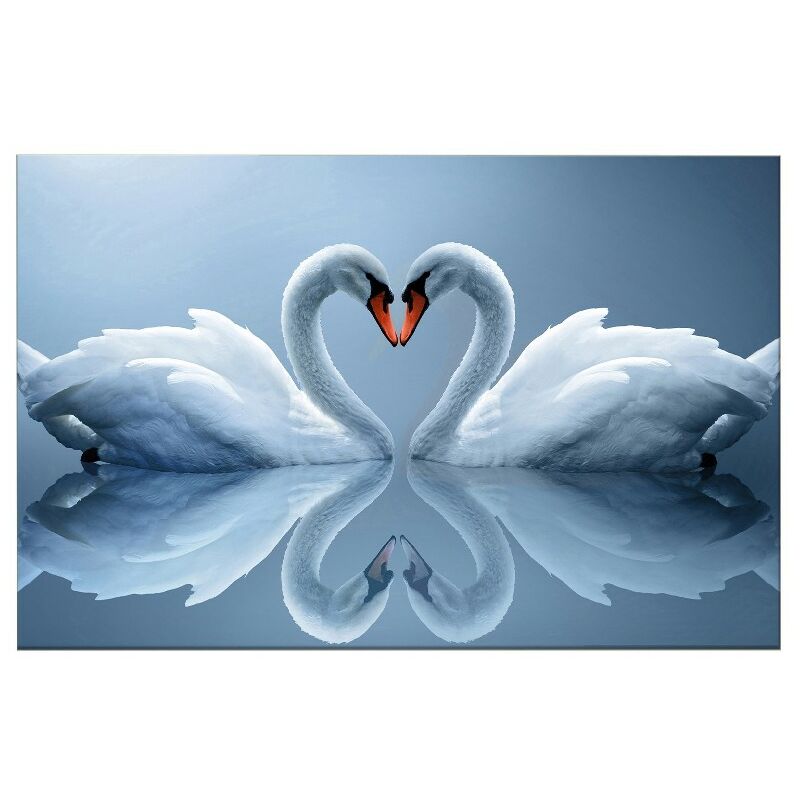 

Homemania - Cuadro Cisne - Animales - para la sala de estar, la habitacion - Multicolor en Poliester, madera, 100 x 3 x 50 cm