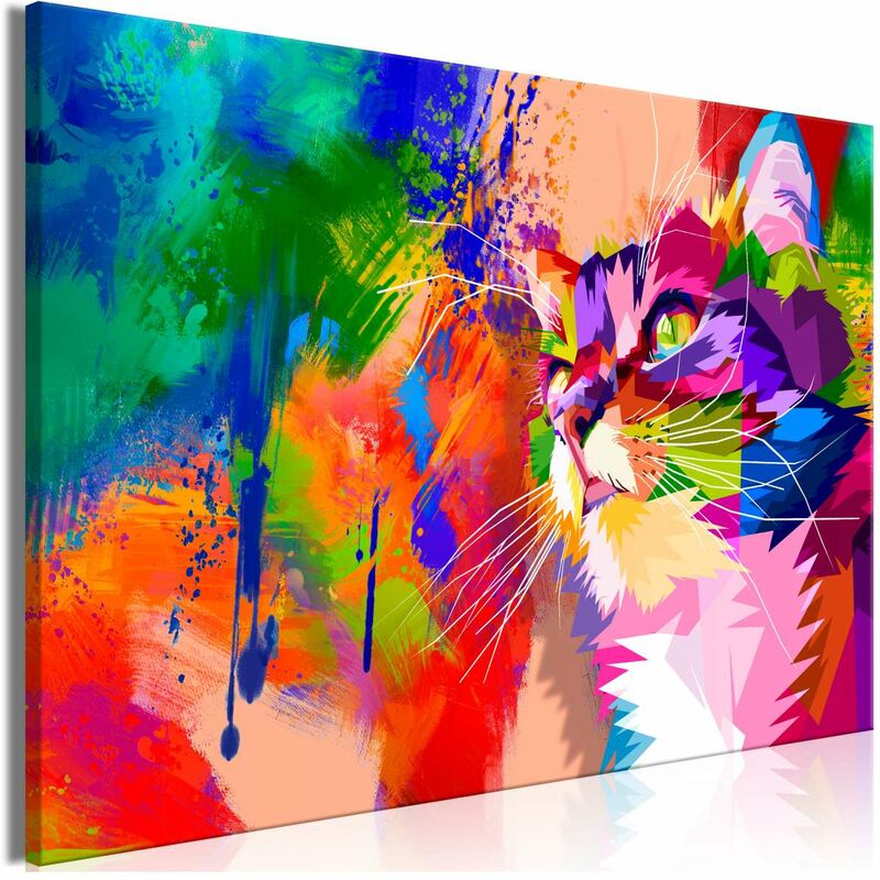 

Cuadro - Colourful Cat (1 Part) Wide Medidas 120X80