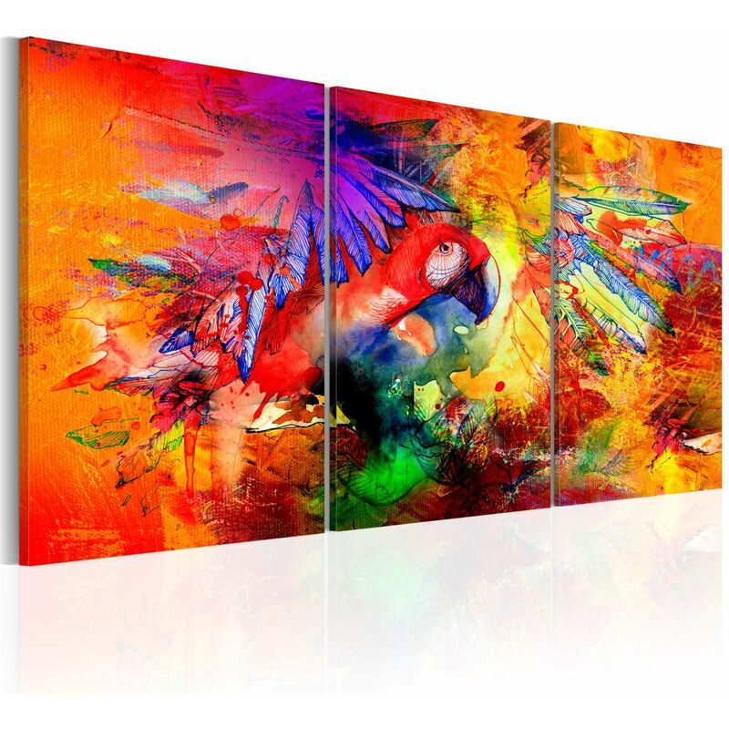 

Cuadro - Colourful Parrot Medidas 60X30