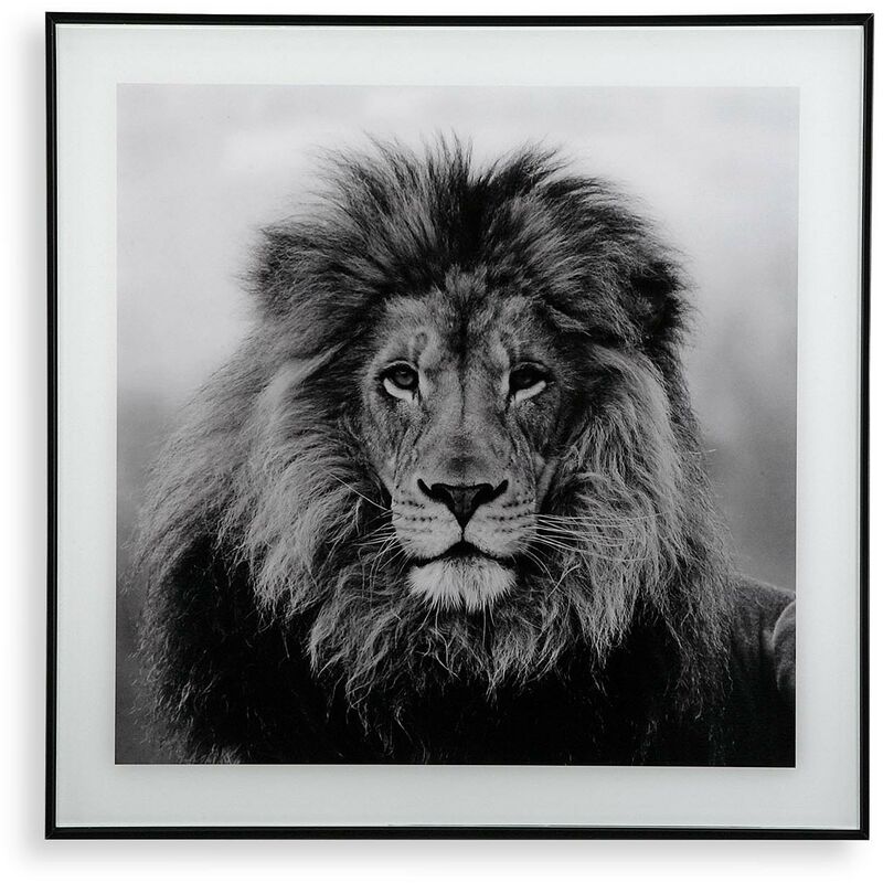 

Cuadro Cristal Leon