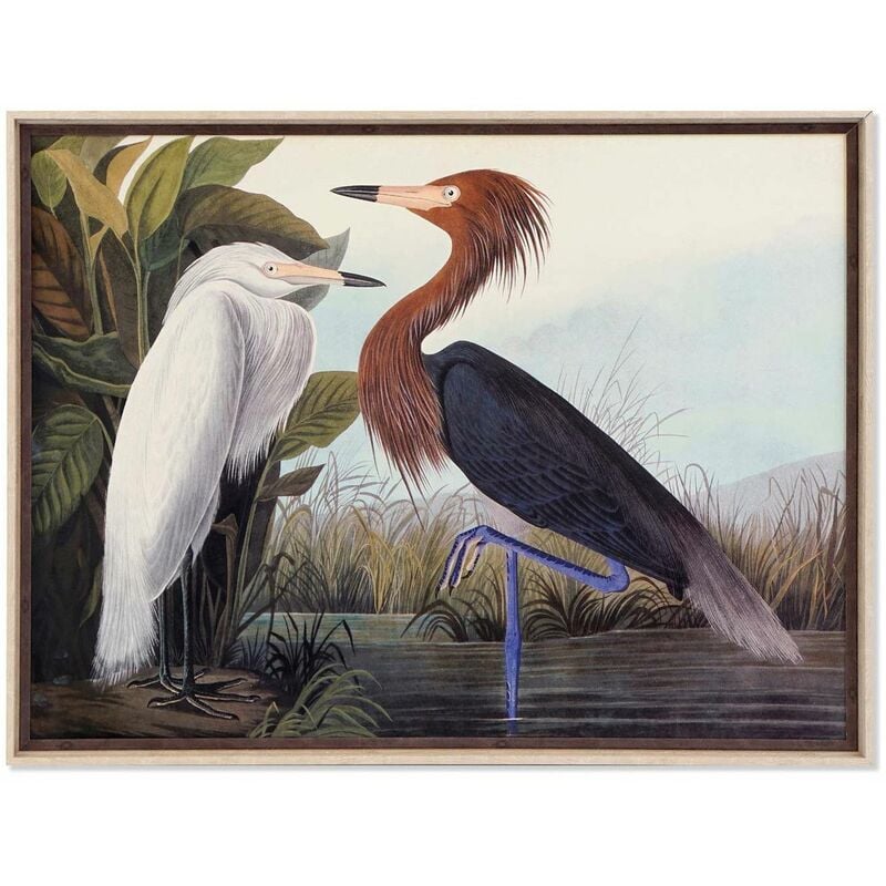 

Cuadro Cristal Pajaros Enmarca Ancho: 105 Cm X Largo: 3,5 Cm X Alto: 80 Cm