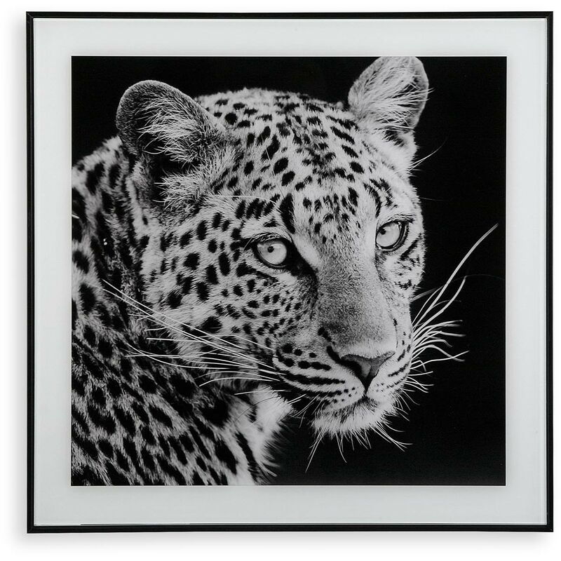 

Cuadro Cristal Tigre
