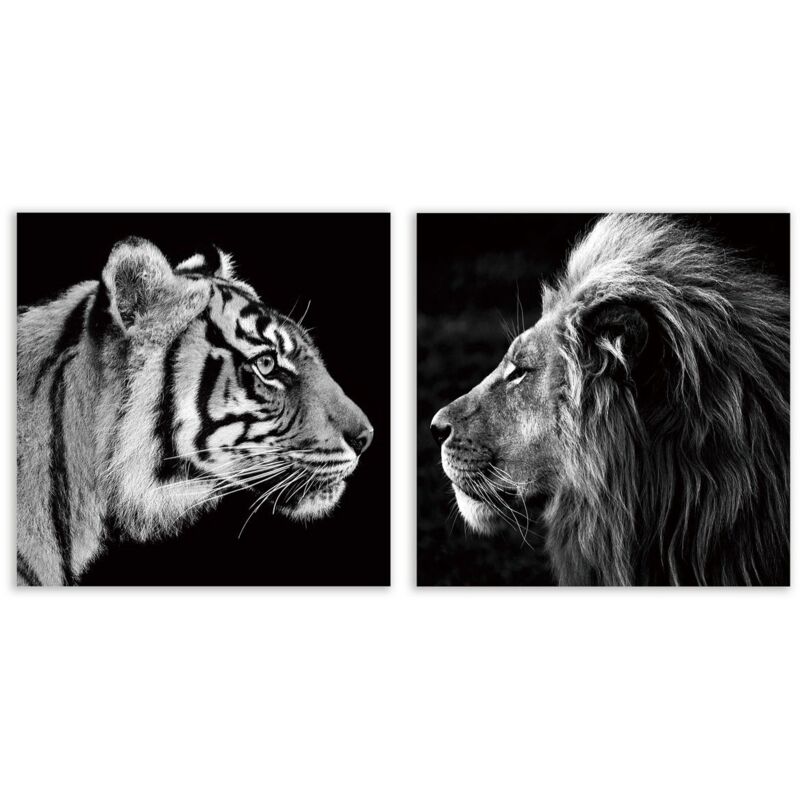 

Cuadro de animal en lienzo negro de 80x80 cm. Compra mínima2 unid