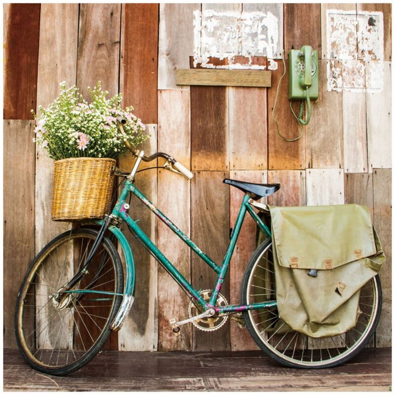 

Cuadro de bicicleta en lienzo verde 80x80 cm