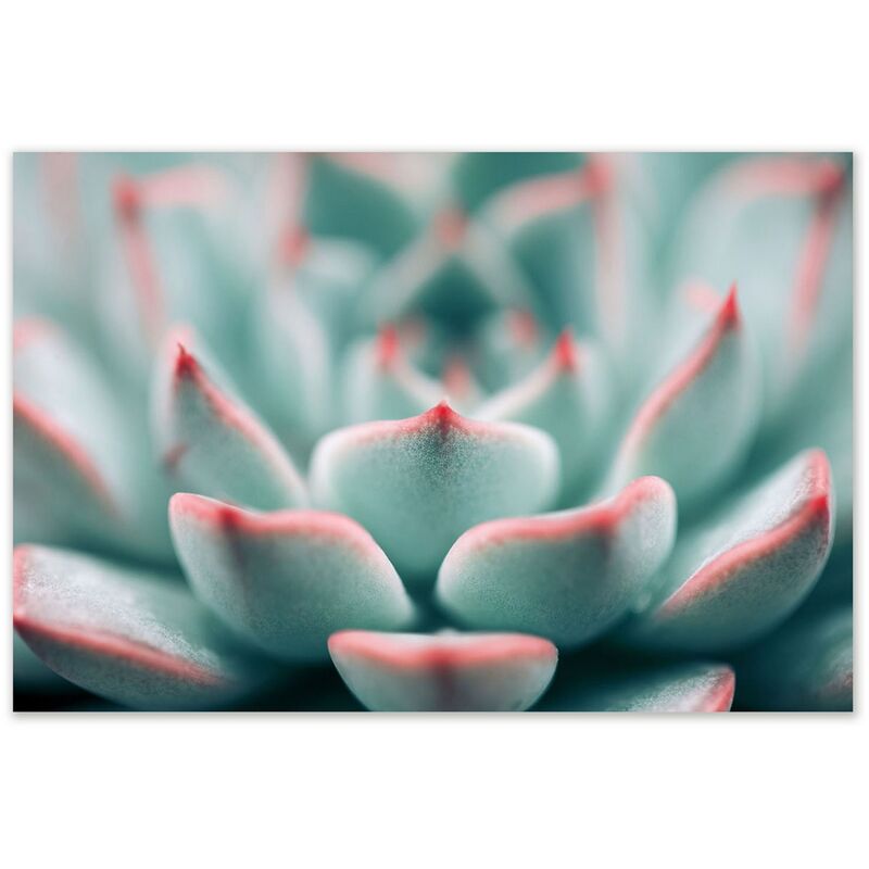 

Lolahome - Cuadro de cactus de cristal azul de 100x70 cm