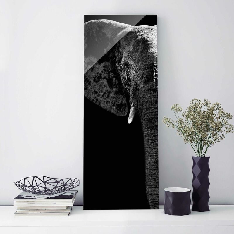 

Bilderwelten - Cuadro de cristal - African Elephant black-white - Panorama Alto Dimensión LxA: 80cm x 30cm