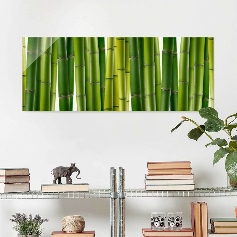 

Cuadro de cristal - Bamboo plants - Panorama Apaisado Dimensión LxA: 20cm x 55cm