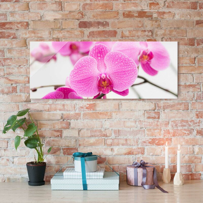 

Cuadro de cristal - Close-up of orchid - Panorama Apaisado Dimensión LxA: 20cm x 55cm