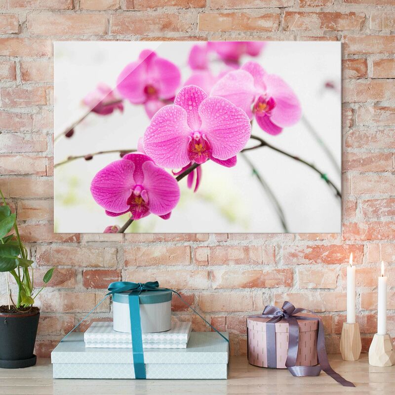 

Cuadro de cristal - Closeup Orchid - Apaisado 2:3 Dimensión LxA: 40cm x 60cm