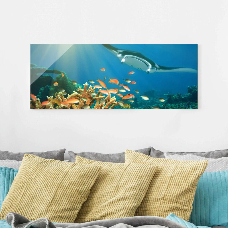 

Cuadro de cristal - Coral reef - Panorama Apaisado Dimensión LxA: 40cm x 100cm