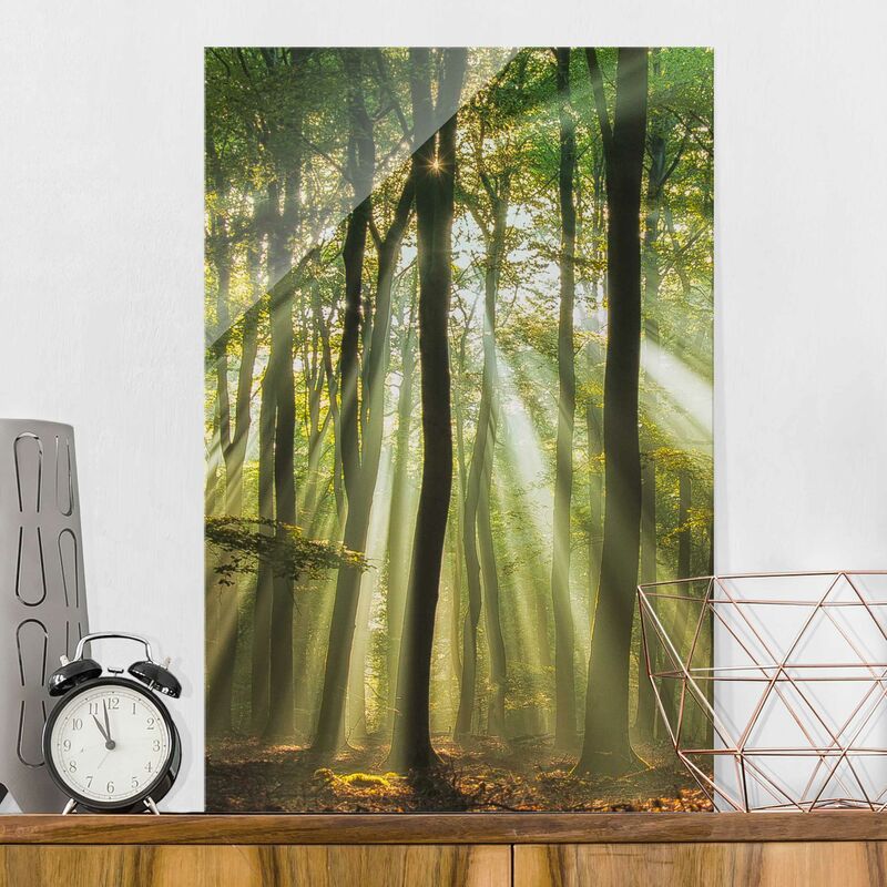 

Bilderwelten - Cuadro de cristal - Día Soleado en el Bosque - Formato Alto 3:2 Dimensión LxA: 120cm x 80cm