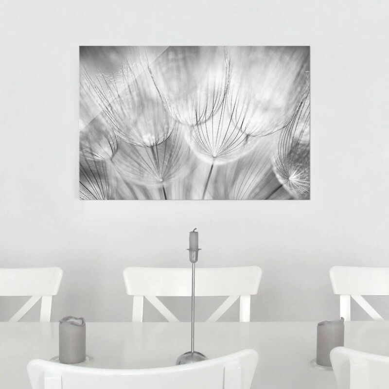

Bilderwelten - Cuadro de cristal - Dandelions macro shot in black and white - Apaisado 2:3 Dimensión LxA: 40cm x 60cm