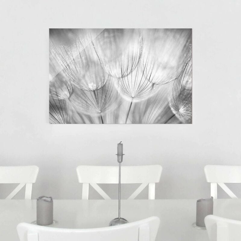 

Bilderwelten - Cuadro de cristal - Dandelions macro shot in black and white - Apaisado 2:3 Dimensión LxA: 60cm x 90cm