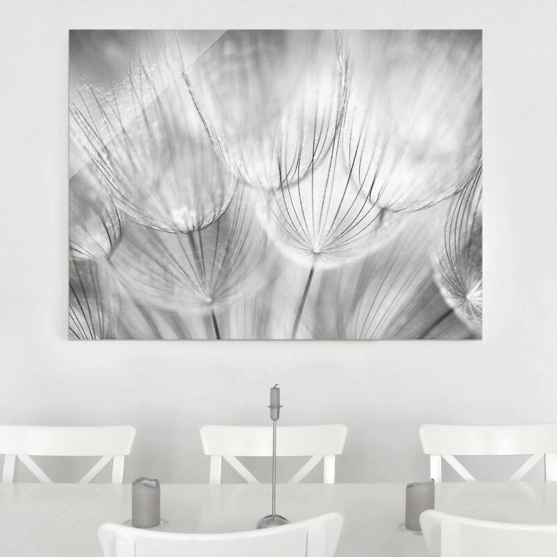 

Bilderwelten - Cuadro de cristal - Dandelions macro shot in black and white - Apaisado 3:4 Dimensión LxA: 75cm x 100cm